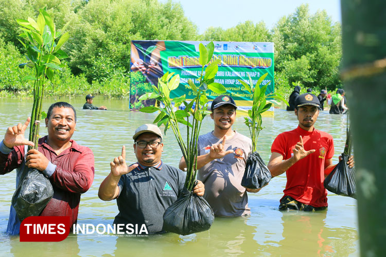 Restorasi Kawasan Pesisir Gresik, 3.500 Bibit Mangrove Ditanam di Kalimireng
