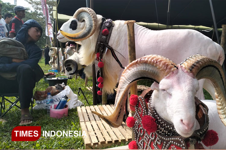 Pesta Pathok, Bakal Jadi Acara Ikonik Tahunan Kota Tasikmalaya