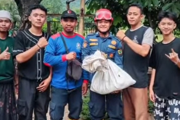 Resahkan Warga, Tim Damkar Cianjur Evakuasi Monyet di Cibinong