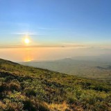 BRIN Sebut Fenomena Solstis Utara Pertanda Awal Kemarau Indonesia