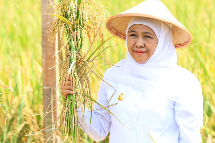 Gubernur Khofifah saat Hari Krida Pertanian 2025.(Dok.Humas Pemprov Jatim)