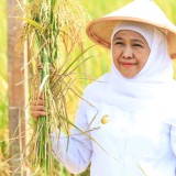 Hari Krida Pertanian, Khofifah Ajak Petani Jatim Berinovasi Tingkatkan Produktivitas