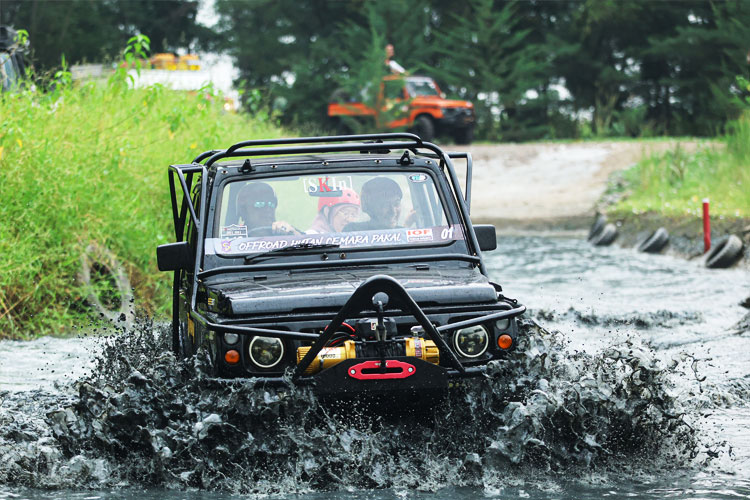 Wisata Offroad Hutan Cemara Pakal SurabayaTawarkan Jalur Fun dan Adventure