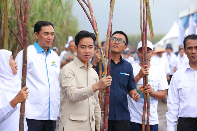 Dari Banyuwangi, Wapres Gibran Tegaskan Komitmen Pangan Nasional