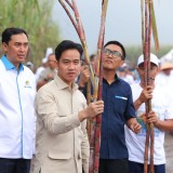 Dari Banyuwangi, Wapres Gibran Tegaskan Komitmen Pangan Nasional