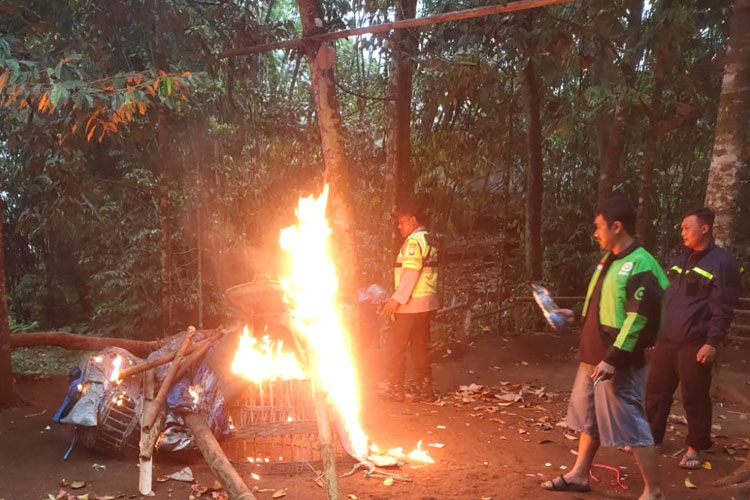 sabung-2.jpg