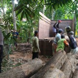 Tangkap Dua Warga Banyuwangi, Polisi Sita Puluhan Batang Kayu Jati Ilegal