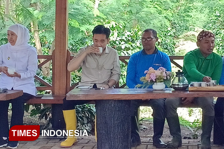 Wakil Presiden Gibran Panen dan Nikmati Kopi Ijen Bondowoso