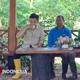 Wakil Presiden Gibran Panen dan Nikmati Kopi Ijen Bondowoso