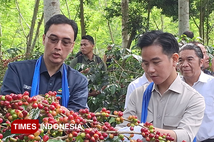 kopi-2.jpg