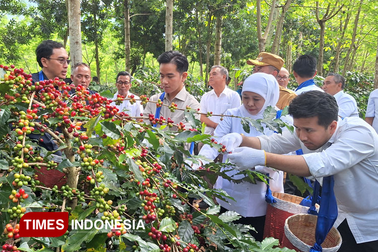 Dari Pasar ke Perkebunan, Wapres Gibran Pastikan Pemerintah Hadir untuk Rakyat