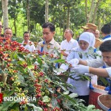 Dari Pasar ke Perkebunan, Wapres Gibran Pastikan Pemerintah Hadir untuk Rakyat