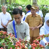 Dari Lereng Ijen Bondowoso, PTPN I Siap Bangkitkan Kejayaan Kopi Nasional Lewat Ekspansi dan Hilirisasi