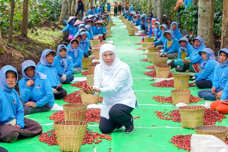 Khofifah.jpg