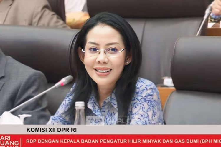 Anggota Komisi XII DPR RI Nurwayah. (FOTO: ist)