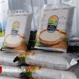 Beras Biofortifikasi Sunwangi Banyuwangi Bakal Jadi Menu Makan Bergizi Gratis