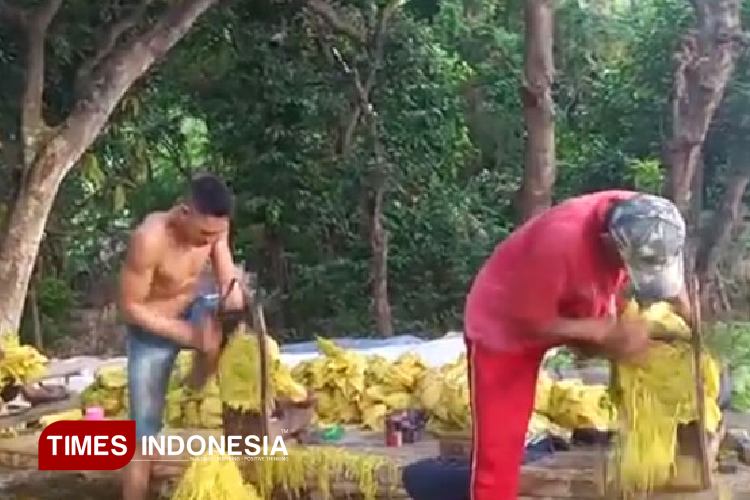 Probolinggo ‘Raja’ Tembakau, Tapi Rokok Lokal Berguguran