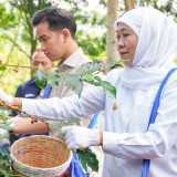 Panen Raya Kopi Bersama Wapres, Gubernur Khofifah Kenalkan Communal Branding