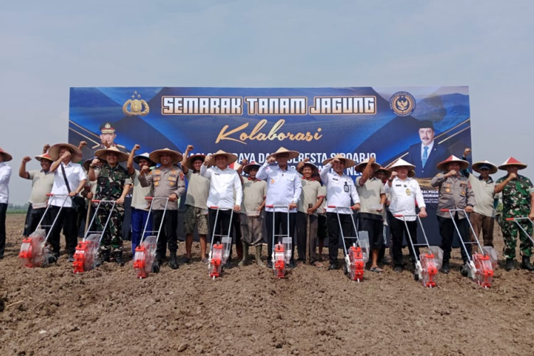 Imigrasi Surabaya bersama Polresta Sidoarjo menggelar kegiatan penanaman jagung di Desa Bulang, Kecamatan Prambon, Sidoarjo, Rabu (25/6/2025)
