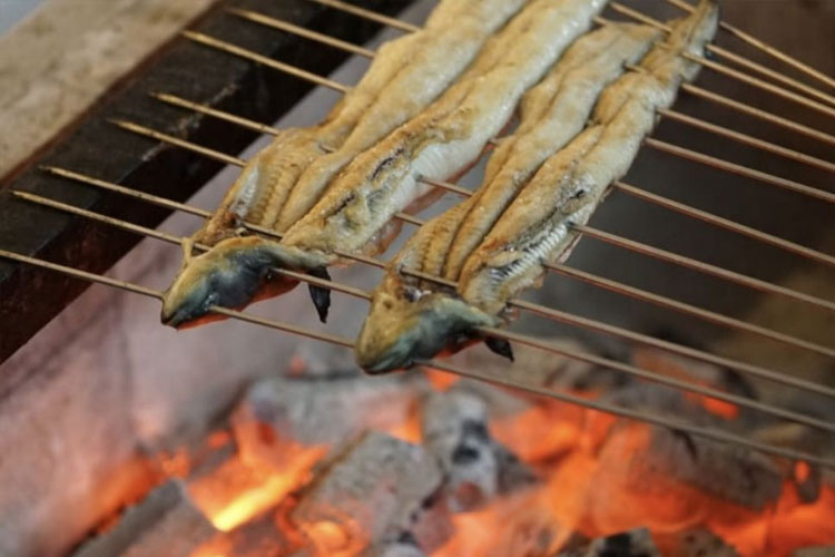 Japonica-Unagi.jpg
