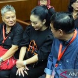 Ganjar Pranowo hingga Krisdayanti Hadiri Sidang Hasto Kristiyanto, Kasus Harun Masiku Jadi Sorotan Publik