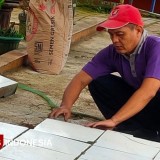 Dedikasi Tanpa Batas, Kepala SMAN Tulakan Pacitan Bantu Pasang Keramik