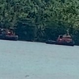 Tidak Lengkapi Dokumen, PT Kalpika Wanatama Unit I Tetap Lakukan Pemuatan Kayu di Samuya Taliabu