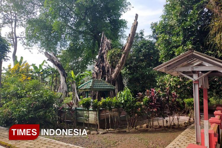 Grebeg Tumpeng dan Khaul Mbah Patra Manggala, Warisan Luhur dari Desa Batuagung Tegal