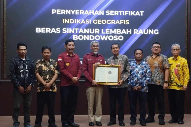 Beras Sintanur Bondowoso Peroleh Sertifikat Indikasi Geografis