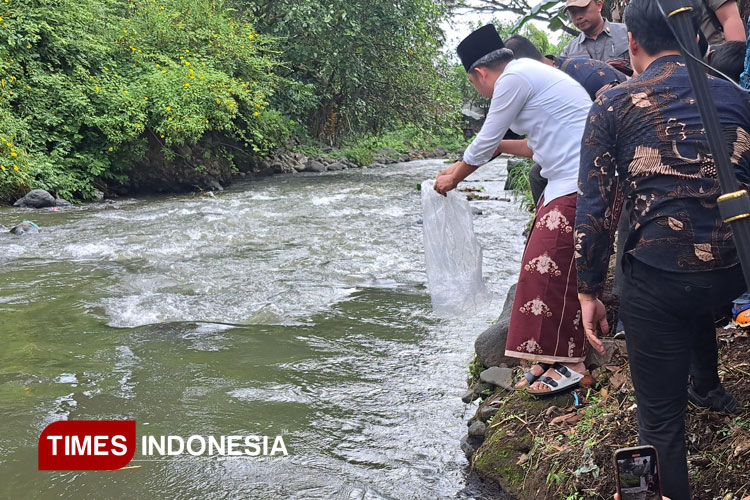 Kembalikan Ekosistem Asli, Bupati Jember Fawait Tebar Ribuan Benih Ikan ke Sungai Silo
