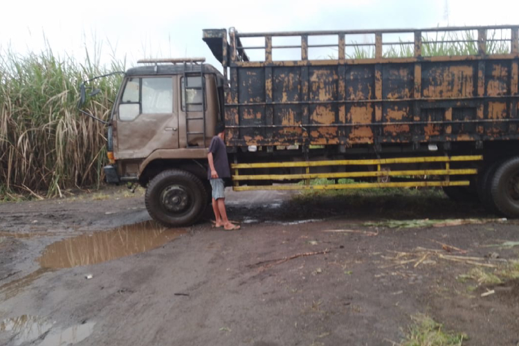 Ratusan sopir armada truk di Banyuwangi, blokade jalan keluar masuk perkebunan tebu di musim giling 2025. (Foto : Dokumentasi TIMES Indonesia)
