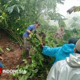 Sungai Badeng Meluap, Hanyutkan Seorang Remaja di Banyuwangi