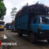 Jalan di Blokade Sopir Truk, 3 Hari Pabrik Gula Glenmore Banyuwangi Stop Giling
