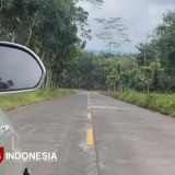 Proyek Strategis Nasional JLS Banyuwangi-Jember Dilanjutkan