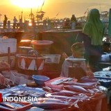 TPI Mimbo Situbondo, Detak Ekonomi Pesisir dari di Ujung Timur Jawa