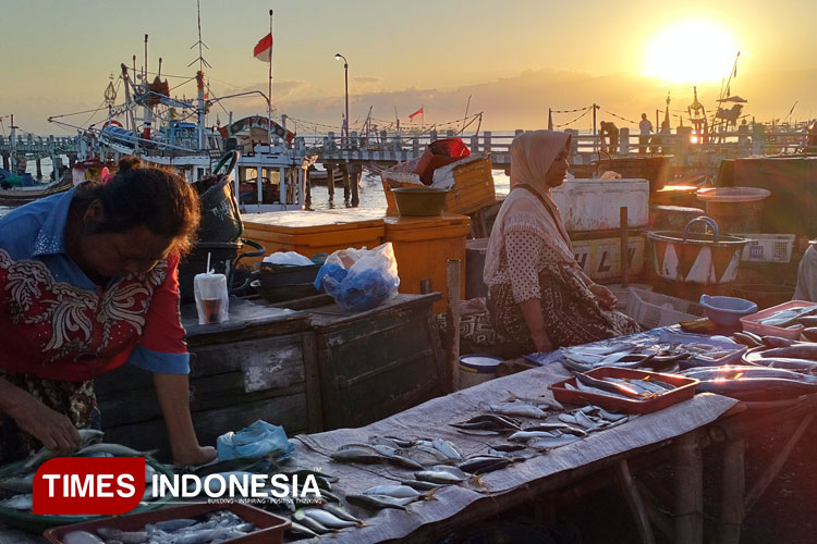 TPI Mimbo Situbondo, Pasok Puluhan Ton Ikan Segar ke Jakarta dan Bali