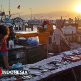 TPI Mimbo Situbondo, Pasok Puluhan Ton Ikan Segar ke Jakarta dan Bali