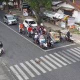Aksi Lucu Kucing Tertib Lalu Lintas di Bondowoso Tuai Sorotan