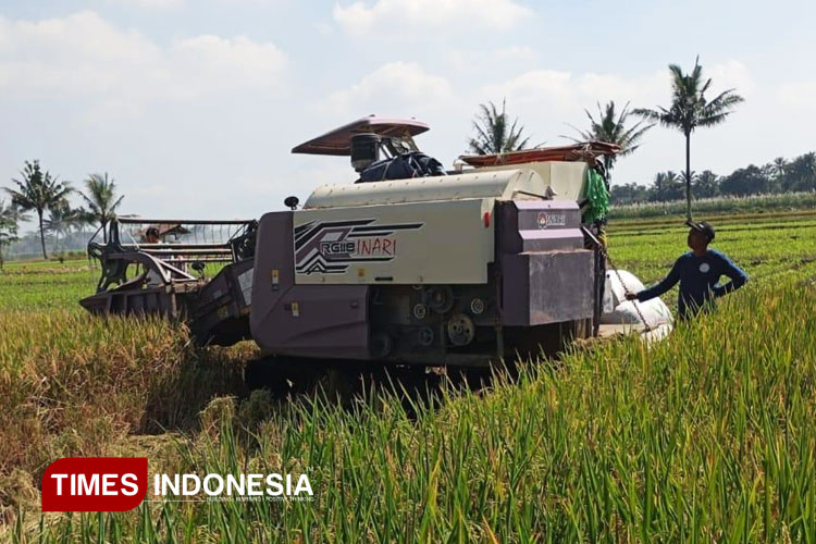 Tambahan Anggaran, Perkuat Sektor Pertanian dan Ketahanan Pangan di Kabupaten Malang
