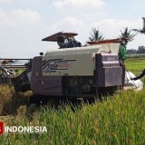 Tambahan Anggaran, Perkuat Sektor Pertanian dan Ketahanan Pangan di Kabupaten Malang