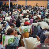 Pemerintah Segera Salurkan Bantuan Pangan Beras