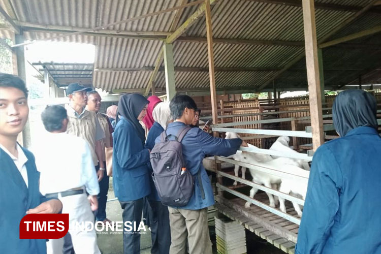 Field-Trip-ke-Peternakan-Kambing.jpg