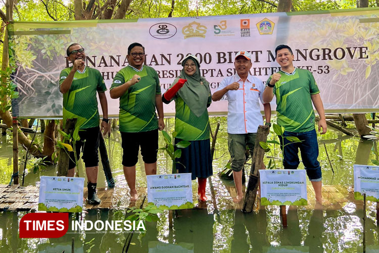 Cegah Abrasi, Ribuan Bibit Magrove Ditanam di Pesisir Utara Gresik