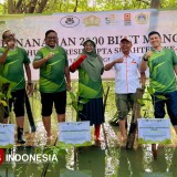 Cegah Abrasi, Ribuan Bibit Magrove Ditanam di Pesisir Utara Gresik