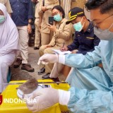 Kasus Leptospirosis di Bondowoso Meningkat, Dua Korban Meninggal Dunia