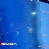 Walau Nihil Hasil Pencarian Korban, Sar Gabungan Temukan Titik KMP Tunu Pratama Jaya Tenggelam