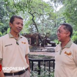 Hadapi Dinamika Kepengurusan, Bandung Zoo Minta Dukungan Pemkot untuk Solusi Legalitas