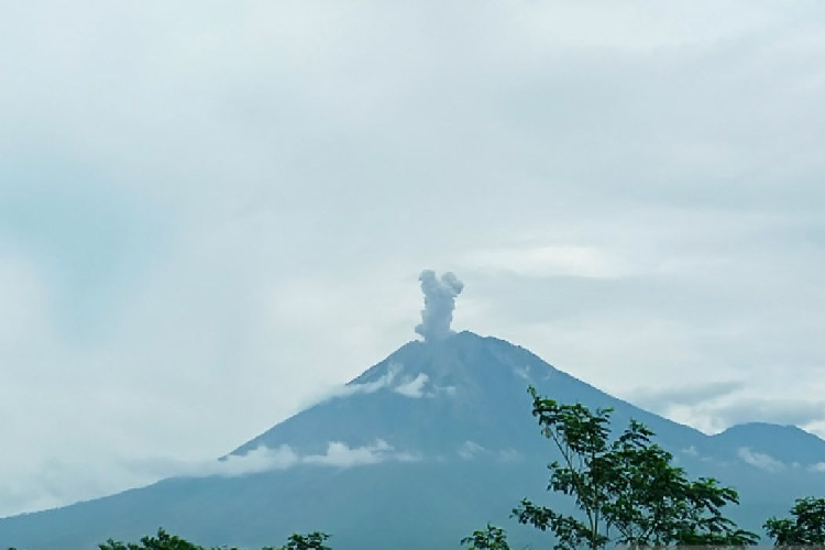 Gunung Semeru erupsi dengan letusan setinggi 600 meter di atas puncak pada Ahad (6/7/2025). (Foto: ANTARA/HO-PVMBG)