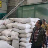 Ketahanan Pangan Jogja Menguat: Cadangan Beras Pemkot ke Foodstation Jogja Setia