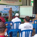 Inovasi 'Puma Sejati', Langkah Maju Pertanian Banyuwangi Tingkatkan Ekonomi